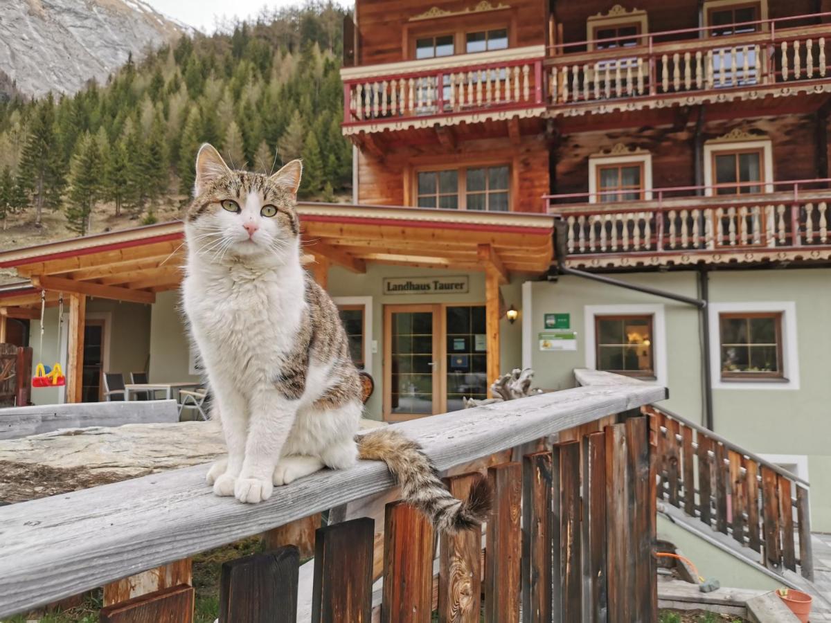 Landhaus Taurer Кальс-ам-Гросглоккнер Экстерьер фото